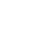 Icons8 company 100